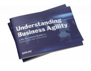 Image of front cover of eBook: Understanding Business Agility