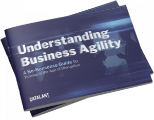 Image of eBook cover: Understanding Business Agility
