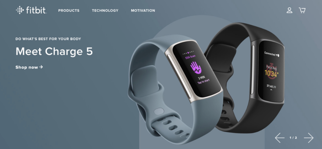 fitbit example of a go-to-market strategy
