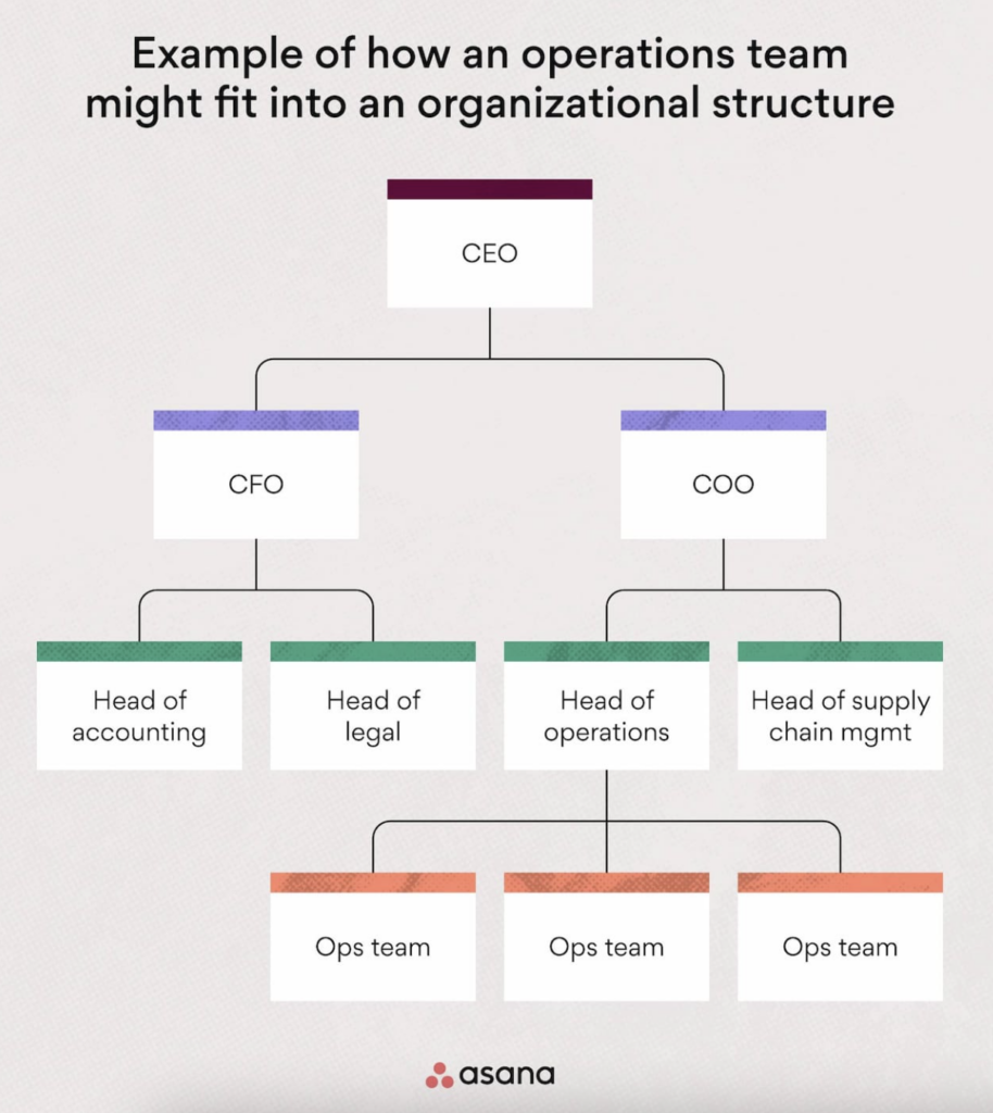 example of how an operations team fits into an organizational structure