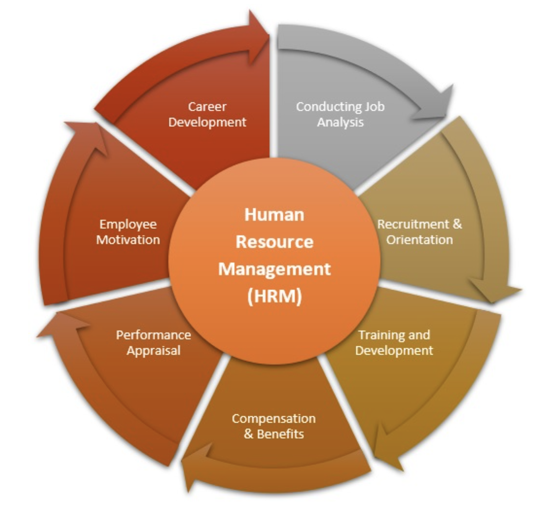 human resources management components 