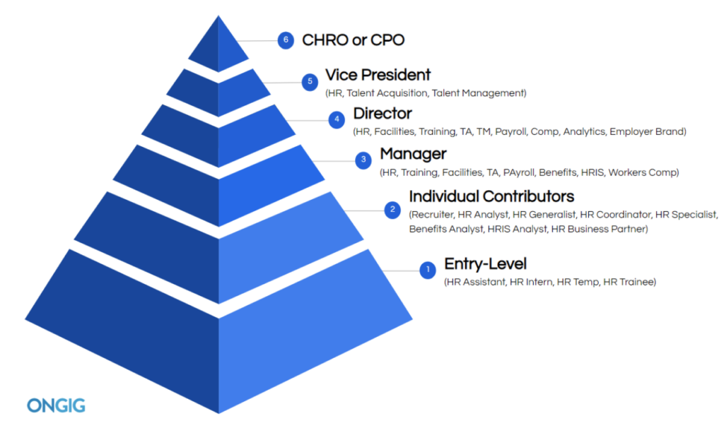human resources department structure heirarchy